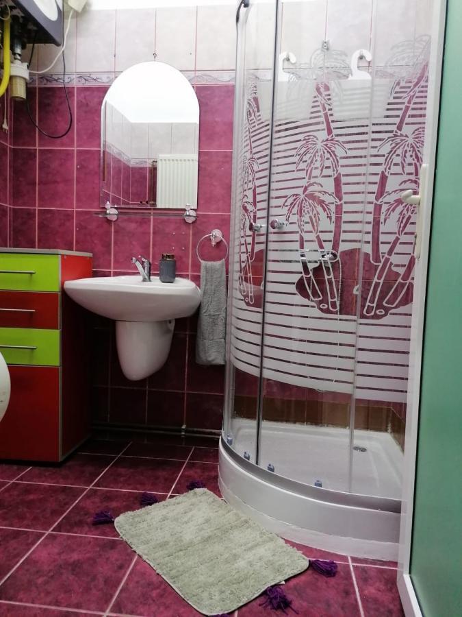 Apartament Josefin Apartment ทิมิชัวรา ภายนอก รูปภาพ